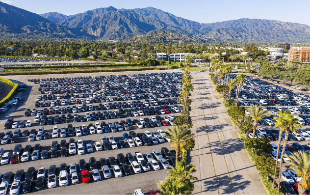 Events & Education Sample Article